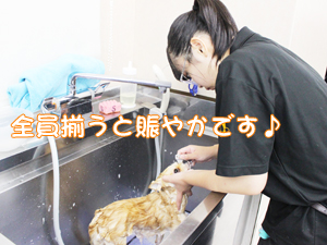 ☆１年生のトリミング実習☆